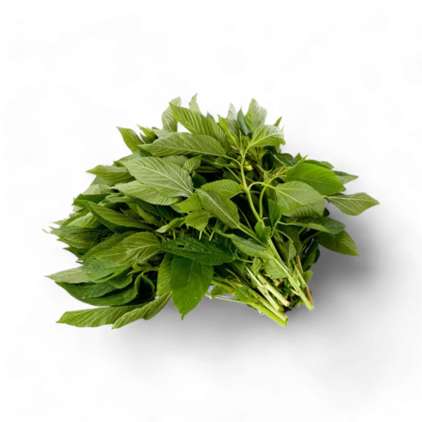 Ewedu
